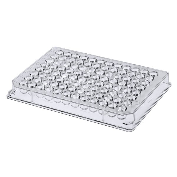 96-Well Plate